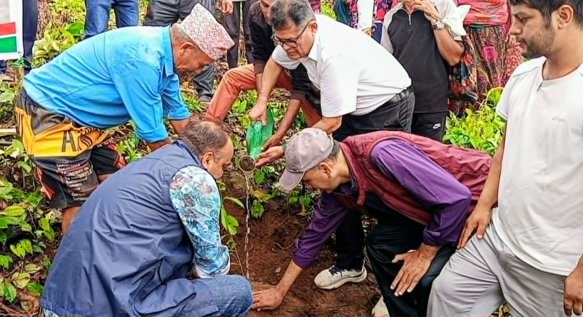 सामुदायिक वनमा एक हजार सात सय रुद्राक्ष रोपियो